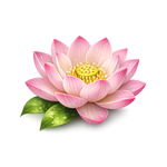 Lotus Flower