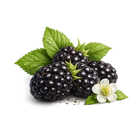 Dewberry