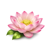 Lotus Flower