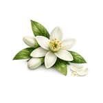 Neroli