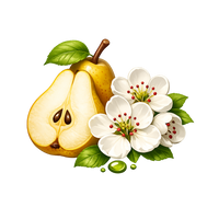 Pear blossom