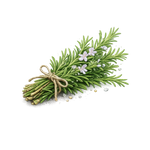 Rosemary