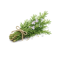 Rosemary