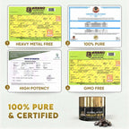 RiverLife® Himalayan Shilajit Resin Gold Grade | High Fulvic Acid & 87 Trace Minerals | Lab Certified, 100% Natural | 10gm Pack