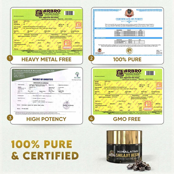 RiverLife® Himalayan Shilajit Resin Gold Grade | High Fulvic Acid & 87 Trace Minerals | Lab Certified, 100% Natural | 10gm Pack