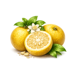 Yuzu