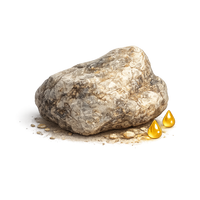 ambergris