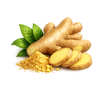 Aromatic Ginger