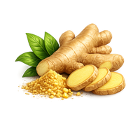 aromatic ginger spice