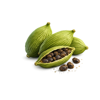 cardamom