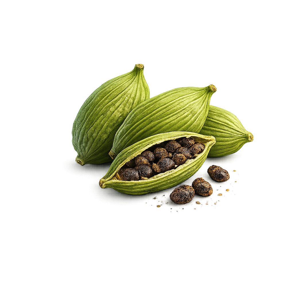 Malabar Cardamom sourced from Kerala, India for Rhama Perfumes