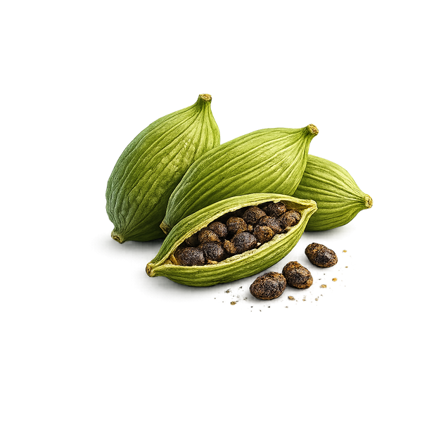 Malabar Cardamom
