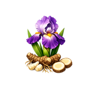 iris