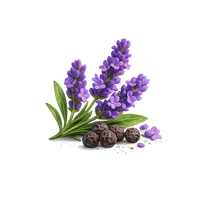 airy lavender