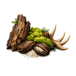 musky woods