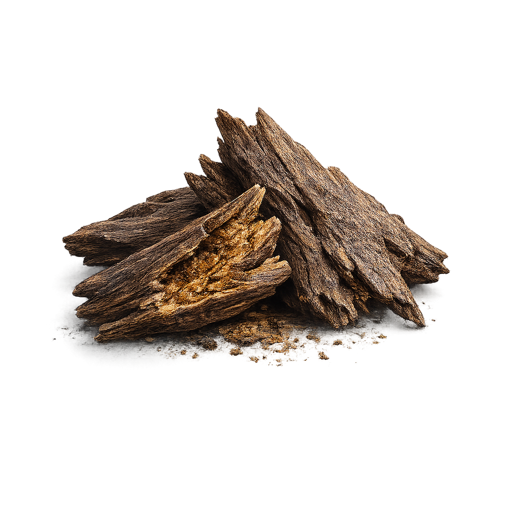 Wild Assam Oud sourced from Assam, India for Rhama Perfumes
