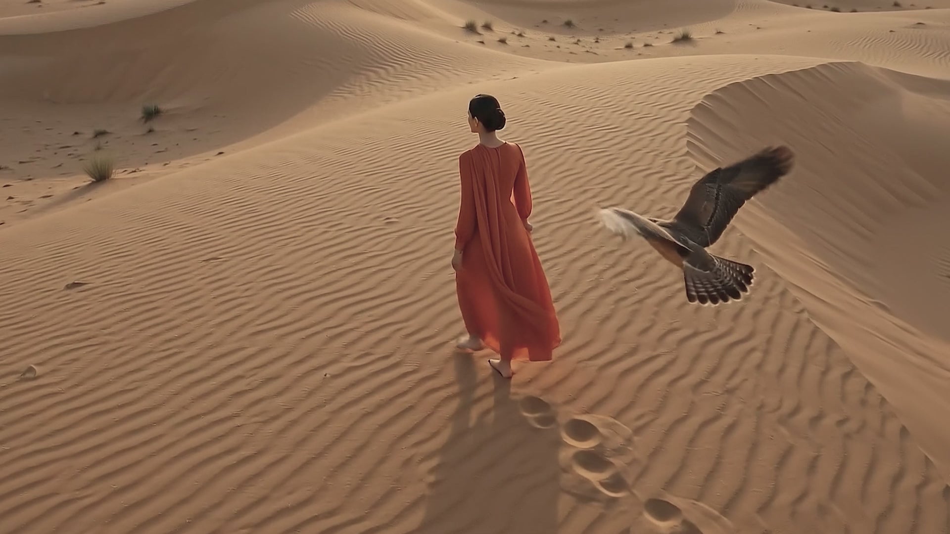 Video preview image