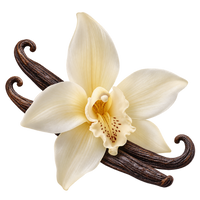 Vanilla Musk
