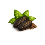 Tonka Bean