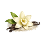 vanilla flower