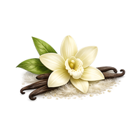 vanilla flower